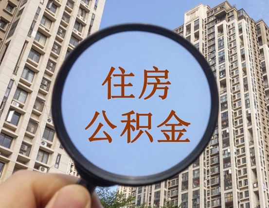 苍南在职公积金取（在职公积金提取流程）